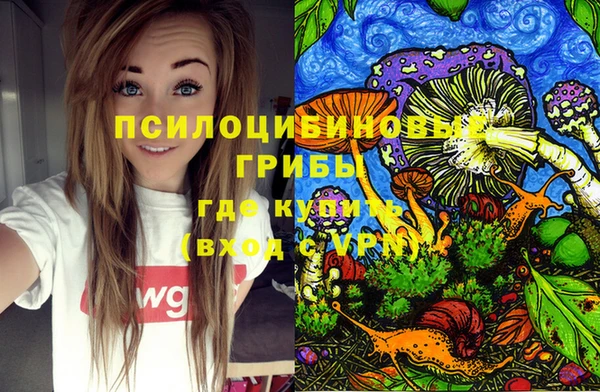 мяу мяу мука Алексеевка