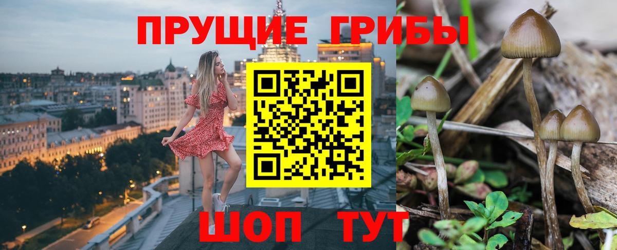 Псилоцибиновые грибы мицелий  Вход с VPN  закладка  Бирск 